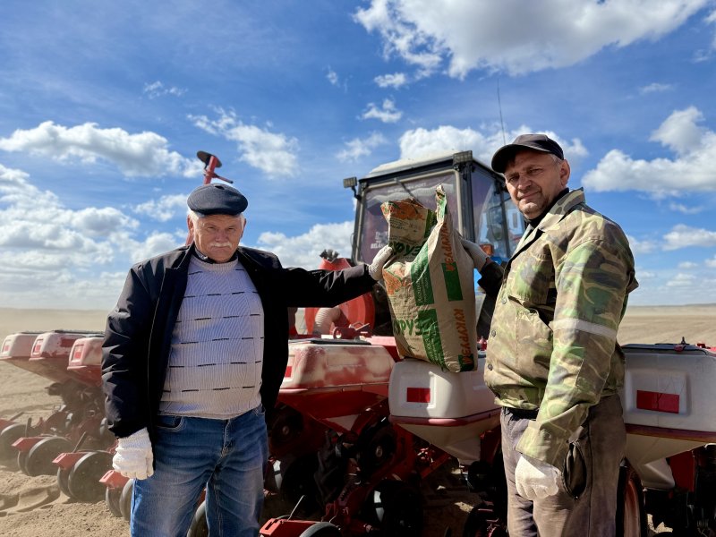 Дождика бы Как идет сев кукурузы в филиале Князево